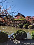 Toji Temple, Kyoto, Japan 2