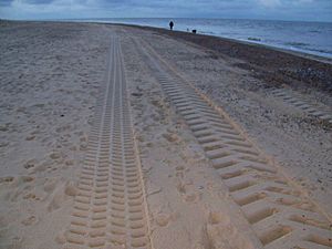 Tracks in the sand, Great Yarmouth - geograph.org.uk - 771299.jpg