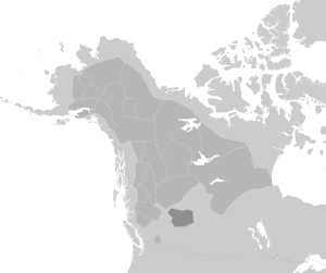 Tsuutʼina map.svg