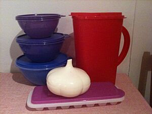 Tupperware plastic containers