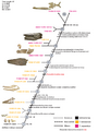 Tylosaurus nepaeolicus kansasensis ontogram
