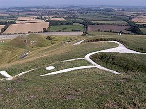 Uffington White Horse and Dragon Hill - geograph.org.uk - 238471