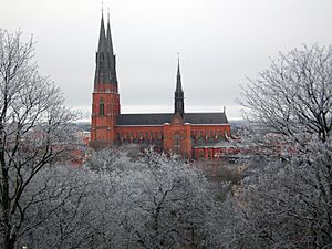 Uppsala Cathedral