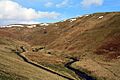 Usway Burn - geograph.org.uk - 1718597