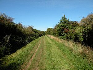 View NW along the Roman Road - geograph.org.uk - 998788.jpg
