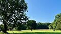 View of the Institute Woods from Fuld Hall, Institute for Advanced Study, Princeton, NJ