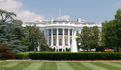 White House lawn (1)