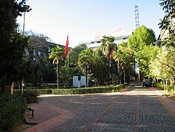 Yıldız Teknik Üniversitesi 19