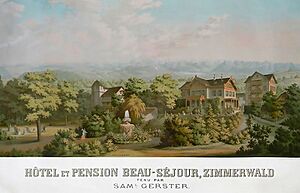 Zimmerwald 1864