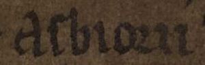 Ásbjǫrn skerjablesi (AM 132 fol, folio 141v)
