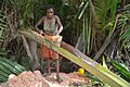 A Papuan woman extracts starch sago from the spongy center of the palm stems. (17821831174)