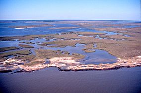 Aerial view of Grand Bay National Estuarine Research Reserve.jpg