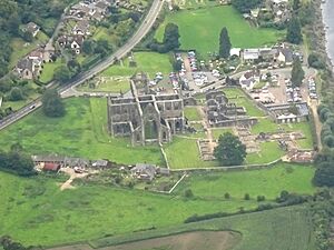 Aerial view of Tintern Abbey 50317199