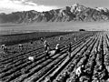 Ansel Adams - Farm workers and Mt. Williamson