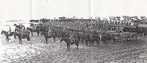 Australian Mounted Division Train at Tripoli