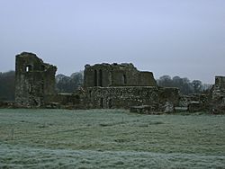 Ballybeg Abbey