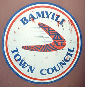 Bamyili