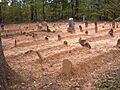 Basket Creek Cemetery - Black Section