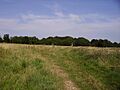 Battlefield of Lansdown