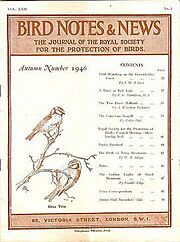 BirdNotes-22-3.jpg