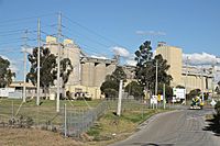Boral Cement Works Maldon NSW