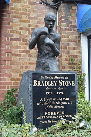 Bradley Stone (16704494390)