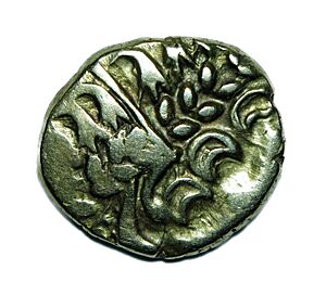 British B (Chute) gold stater (obverse)