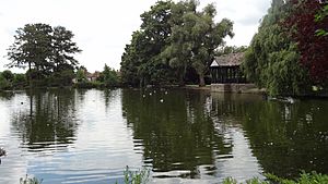 Broomfield Park lake 3