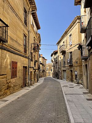 Calle Mayor Labastida