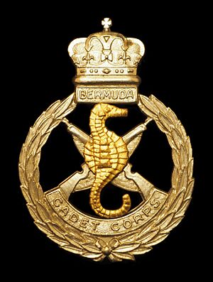 Cap badge of the Bermuda Cadet Corps.jpg