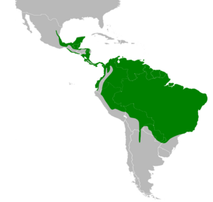 Claravis pretiosa map.svg