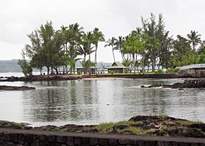 Coconut Island (Hawaii Island)