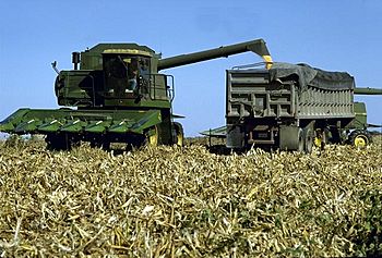 Combine-harvesting-corn