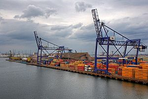 Container Terminal, Teesport - geograph.org.uk - 1453170
