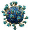 Coronavirus. SARS-CoV-2