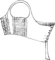 Corset ElastiqueFrench1803