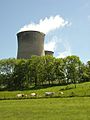 Cows and cooling towers, Cottam - geograph.org.uk - 450176