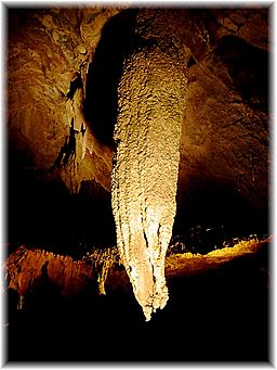 Crag Cave Irland.jpg