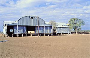 Darr River Downs woolshed (1998).jpg