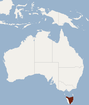 Distribution of Nyctophilus sherrini.png