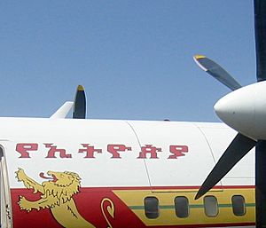 Ethiopian Air aircraft showing Ethiopic script