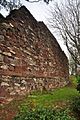 Exeter city walls (9123)