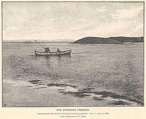 FMIB 35846 Porpoise Fishery