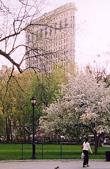 Flatiron Building over Madison Square Park