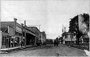Forest Grove Oregon Pacific Avenue 1920