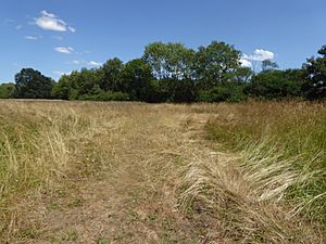 Fritton Common, Morningthorpe 1.jpg