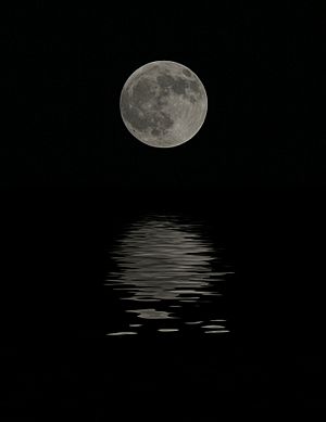 Full Moon Reflections (1285407742)
