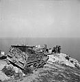 German M3 wreck2 Tunis May1943