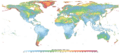 Global Map of Wind Speed