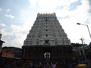 Gopuram of Varadaraja temple, Kanchipuram